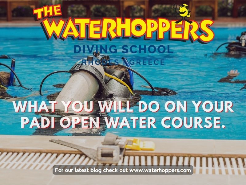 What you will do on your PADI Open Water Course.